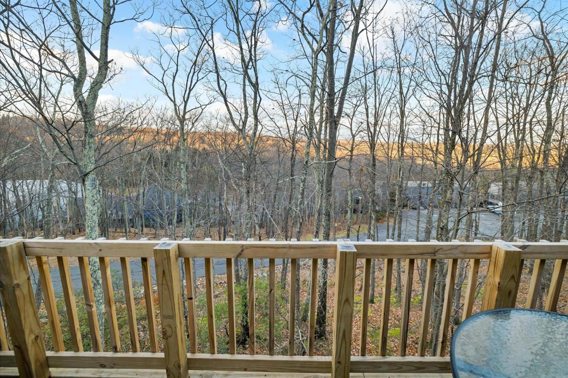 Camelback Waterpark Pool-hot Tub-sauna-kayak Tannersville